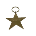 Brass Star Keyring
